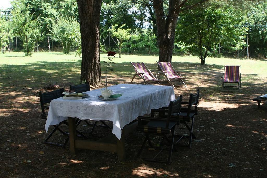 Campo Alle Monache 부시네 외부 사진
